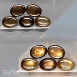 Зоряний сапфір Golden Black овал 8х6 мм 1,4 карата